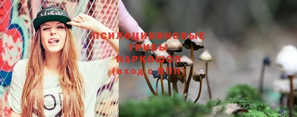 герыч Алзамай