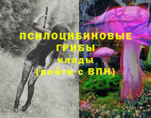 прущая мука Алексин