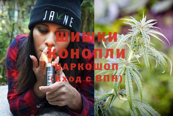 дживик Абаза