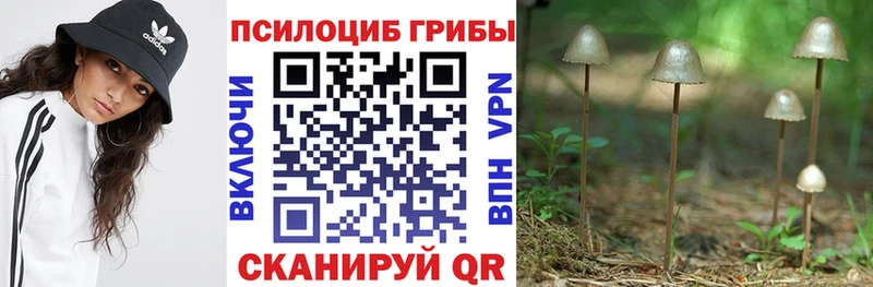 Псилоцибиновые грибы Magic Shrooms Далматово